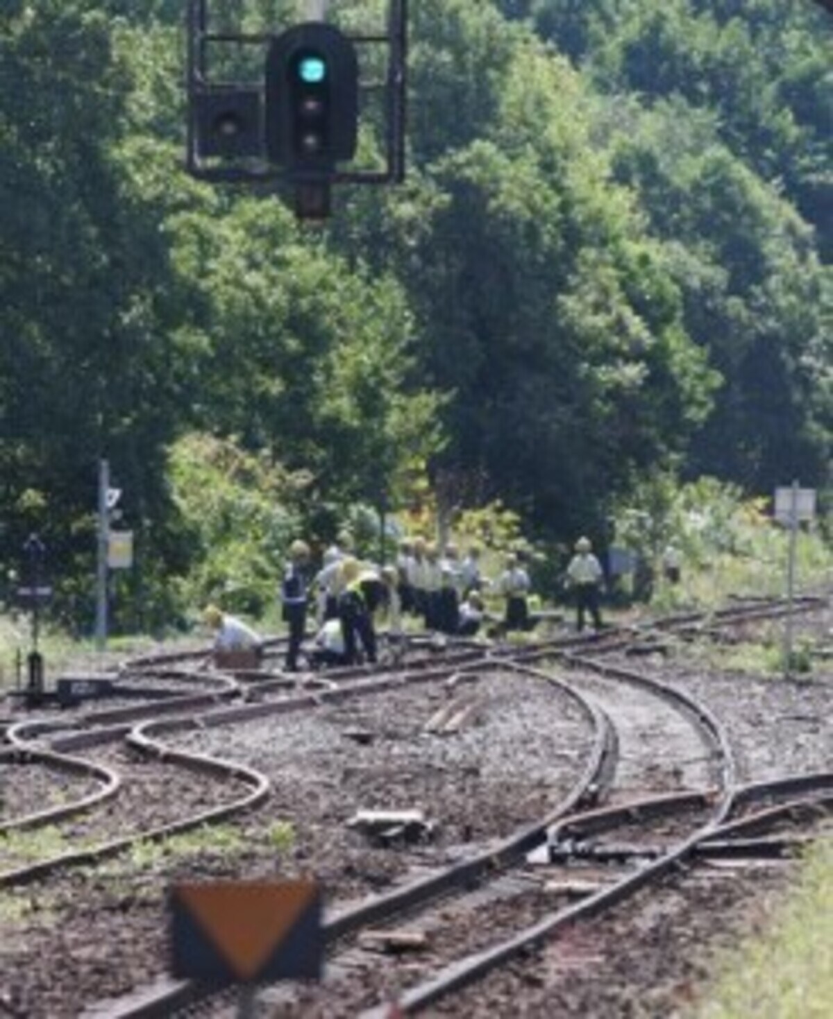 img_c46af95868d98f0ca0a09ae388