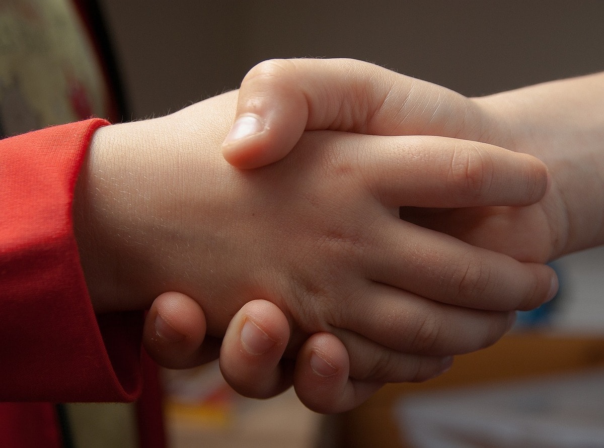 イレナの子供たち (2500人のユダヤ人の子供たちを救った勇気ある